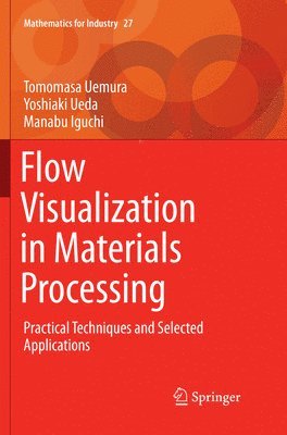 Flow Visualization in Materials Processing 1