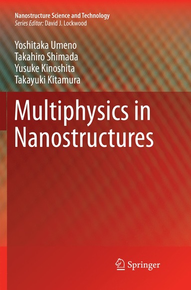 bokomslag Multiphysics in Nanostructures