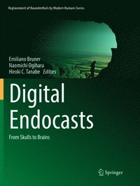 bokomslag Digital Endocasts