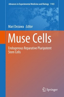 Muse Cells 1