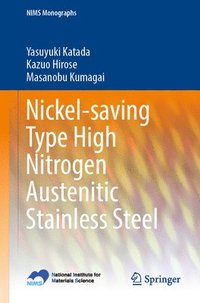 bokomslag Nickel-saving Type High Nitrogen Austenitic Stainless Steel