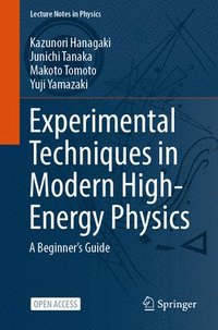 bokomslag Experimental Techniques in Modern High-Energy Physics
