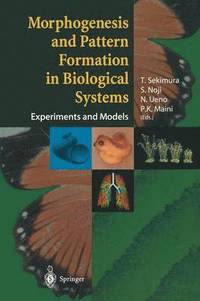 bokomslag Morphogenesis and Pattern Formation in Biological Systems