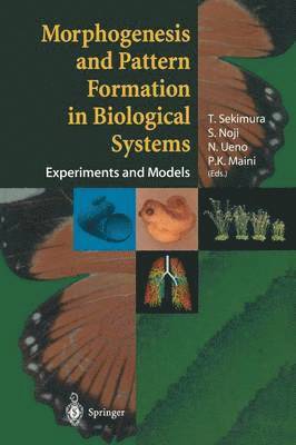 Morphogenesis and Pattern Formation in Biological Systems 1