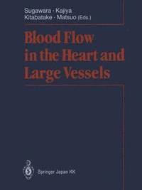 bokomslag Blood Flow in the Heart and Large Vessels