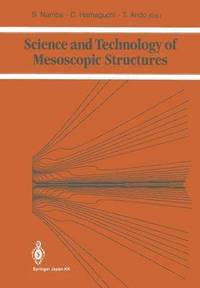 bokomslag Science and Technology of Mesoscopic Structures