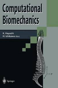 bokomslag Computational Biomechanics