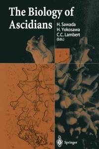 bokomslag The Biology of Ascidians