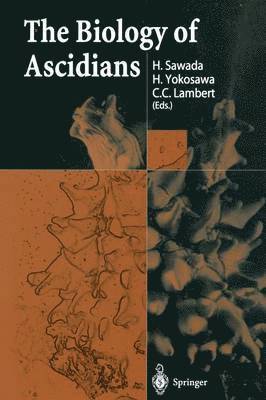 The Biology of Ascidians 1