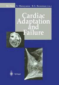 bokomslag Cardiac Adaptation and Failure