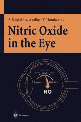 S. Kashii, A. Akaike, Y. Honda - Nitric Oxide in the Eye, Häftad