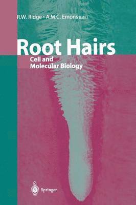 Root Hairs 1