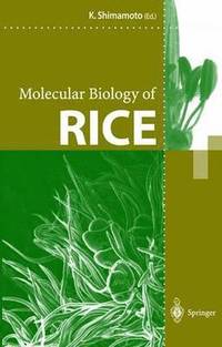 bokomslag Molecular Biology of Rice