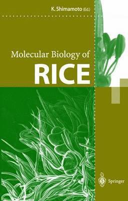 Molecular Biology of Rice 1