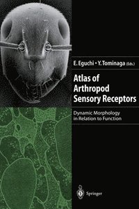 bokomslag Atlas of Arthropod Sensory Receptors