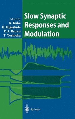 K. Kuba, H. Higashida, D.A. Brown, T. Yoshioka, D A Brown - Slow Synaptic Responses and Modulation, Inbunden