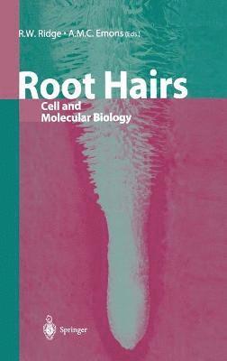 Root Hairs 1