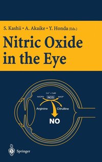 bokomslag Nitric Oxide In The Eye