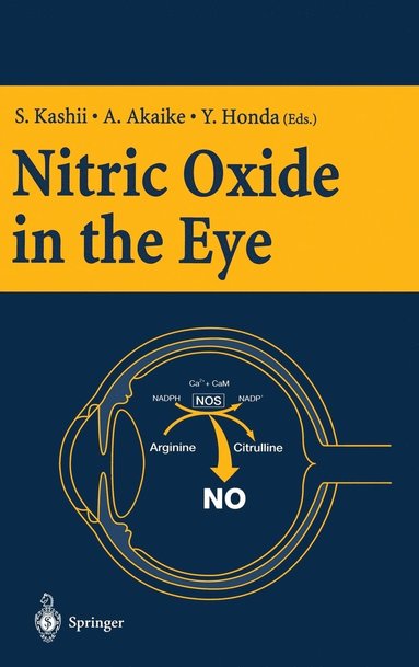 bokomslag Nitric Oxide in the Eye