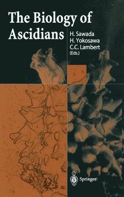 bokomslag The Biology of Ascidians