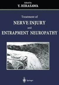 bokomslag Treatment of Nerve Injury and Entrapment Neuropathy