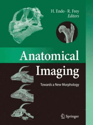 bokomslag Anatomical Imaging