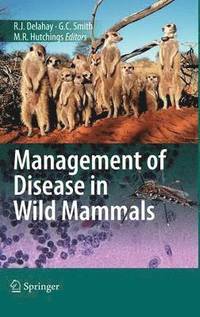 bokomslag Management of Disease in Wild Mammals