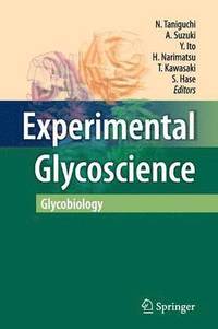 bokomslag Experimental Glycoscience