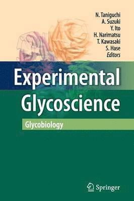 Naoyuki Taniguchi, Akemi Suzuki, Yukishige Ito, Hisashi Narimatsu, Toshisuke Kawasaki, Sumihiro Hase - Experimental Glycoscience, Häftad
