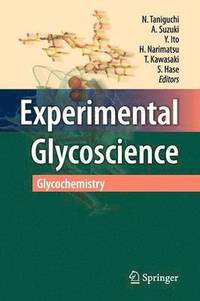 bokomslag Experimental Glycoscience