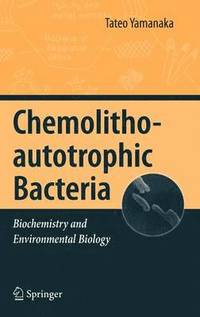 bokomslag Chemolithoautotrophic Bacteria