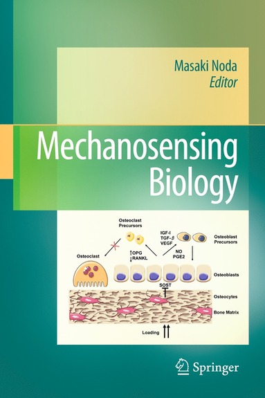 bokomslag Mechanosensing Biology