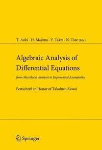 bokomslag Algebraic Analysis of Differential Equations