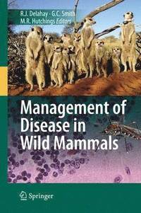 bokomslag Management of Disease in Wild Mammals