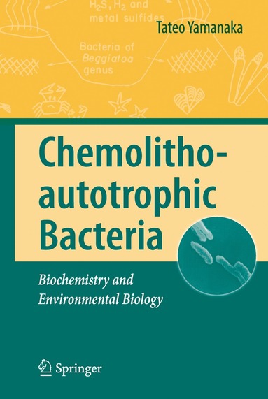 bokomslag Chemolithoautotrophic Bacteria