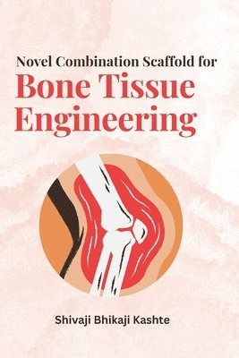 bokomslag Novel Combination Scaffold for Bone Tissue Engineering