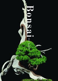 bokomslag Bonsai