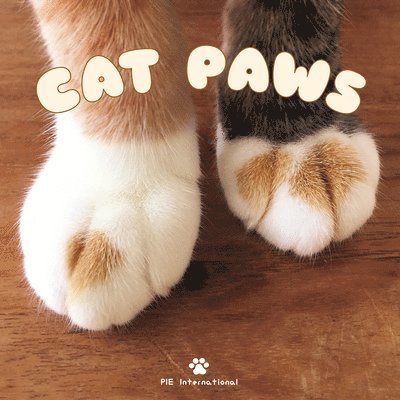 Cat Paws 1