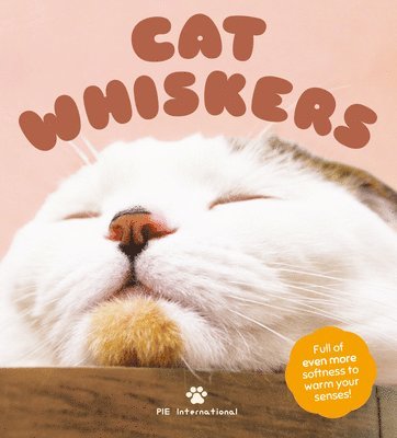 bokomslag Cat Whiskers