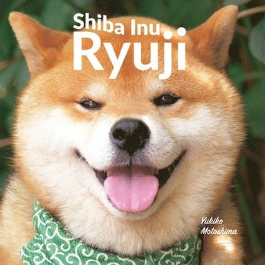 bokomslag Shiba Inu Ryuji