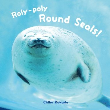 bokomslag Roly-Poly Round Seals!