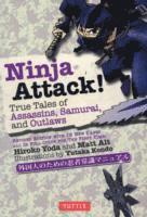 Hiroko Yoda, Matt Alt - Ninja Attack!, Häftad