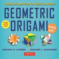 bokomslag Geometric Origami Mini Kit