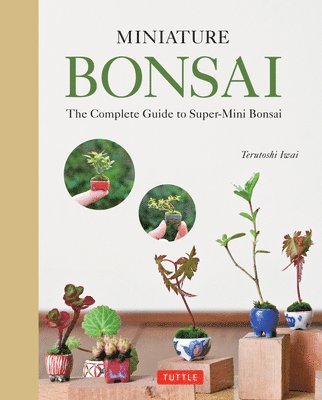 bokomslag Miniature Bonsai
