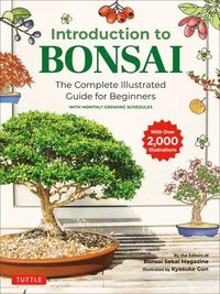 bokomslag Introduction to Bonsai