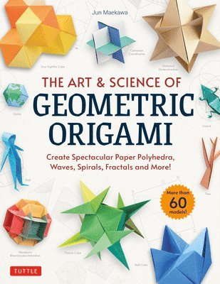 bokomslag The Art & Science of Geometric Origami