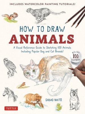 bokomslag How to Draw Animals