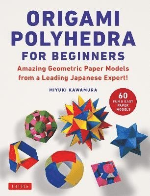 bokomslag Origami Polyhedra for Beginners