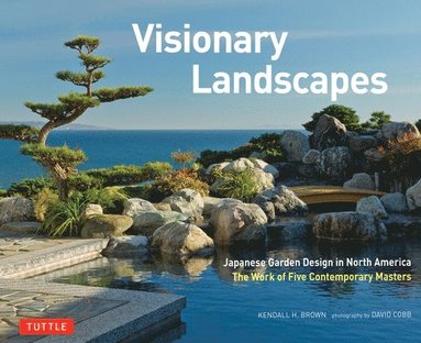 bokomslag Visionary Landscapes