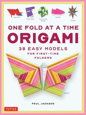 bokomslag One Fold at a Time Origami